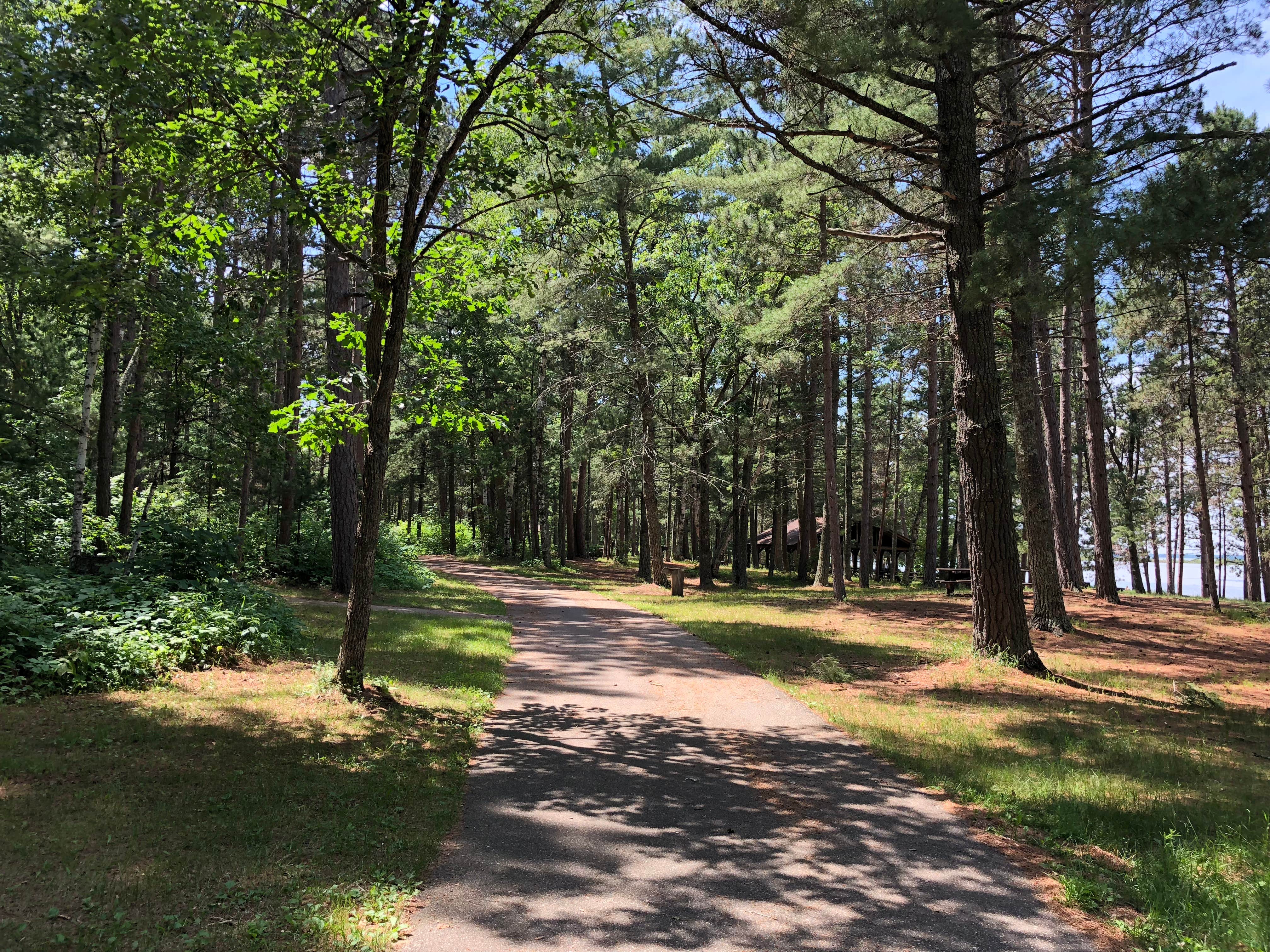 Camper submitted image from Norway Beach - Wanaki Campground Loop - 3