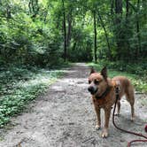 Review photo of Whitetail Campground — Illini State Park by Art S., August 31, 2021