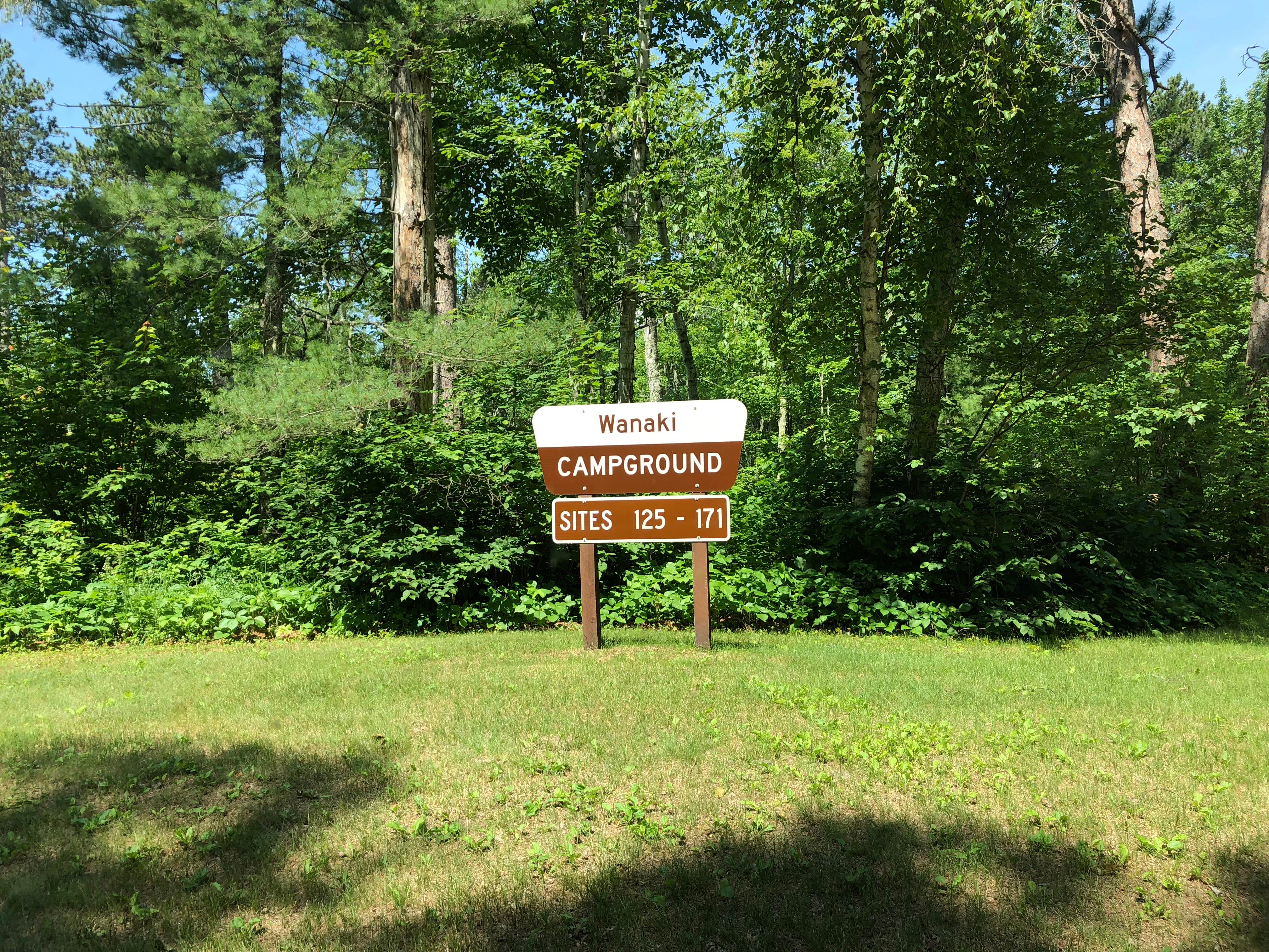Camper submitted image from Norway Beach - Wanaki Campground Loop - 5
