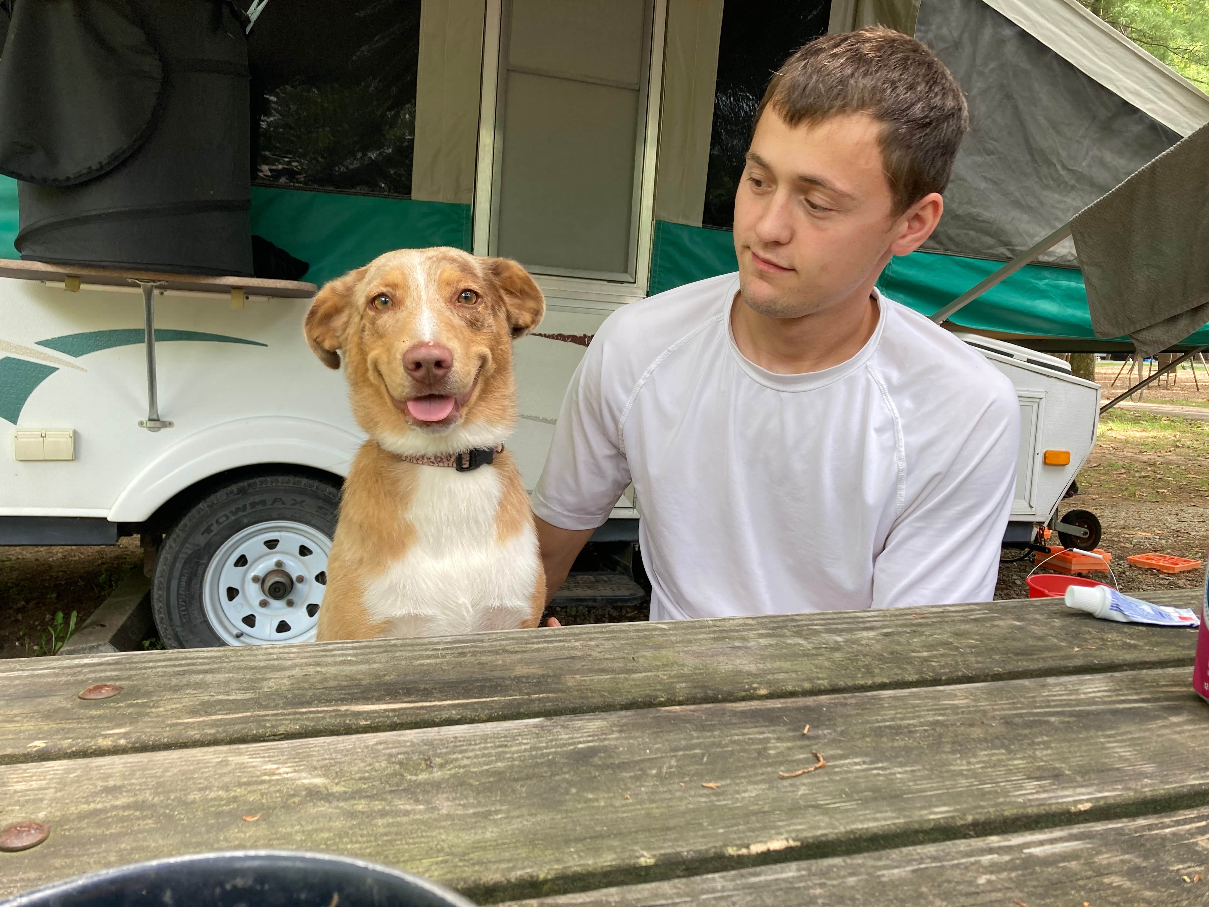 Chelsea M.'s photo of camping with pets at Starve Hollow State Rec Area Campground near New Pekin, IN