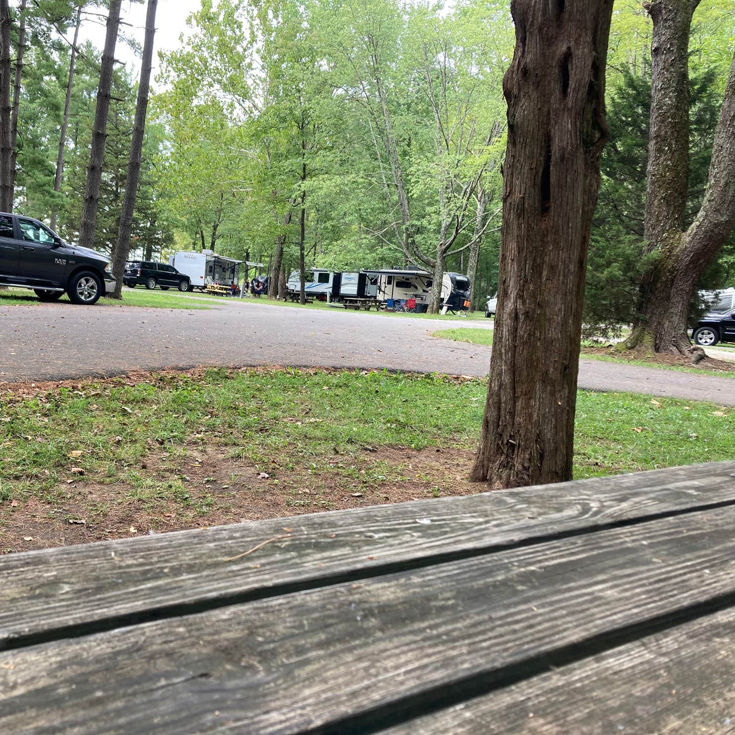 Starve Hollow State Rec Area Camping The Dyrt