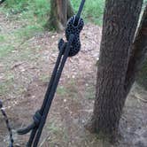 Review photo of The Pines Rustic Campground — Waterloo Recreation Area by Noah R., July 19, 2016