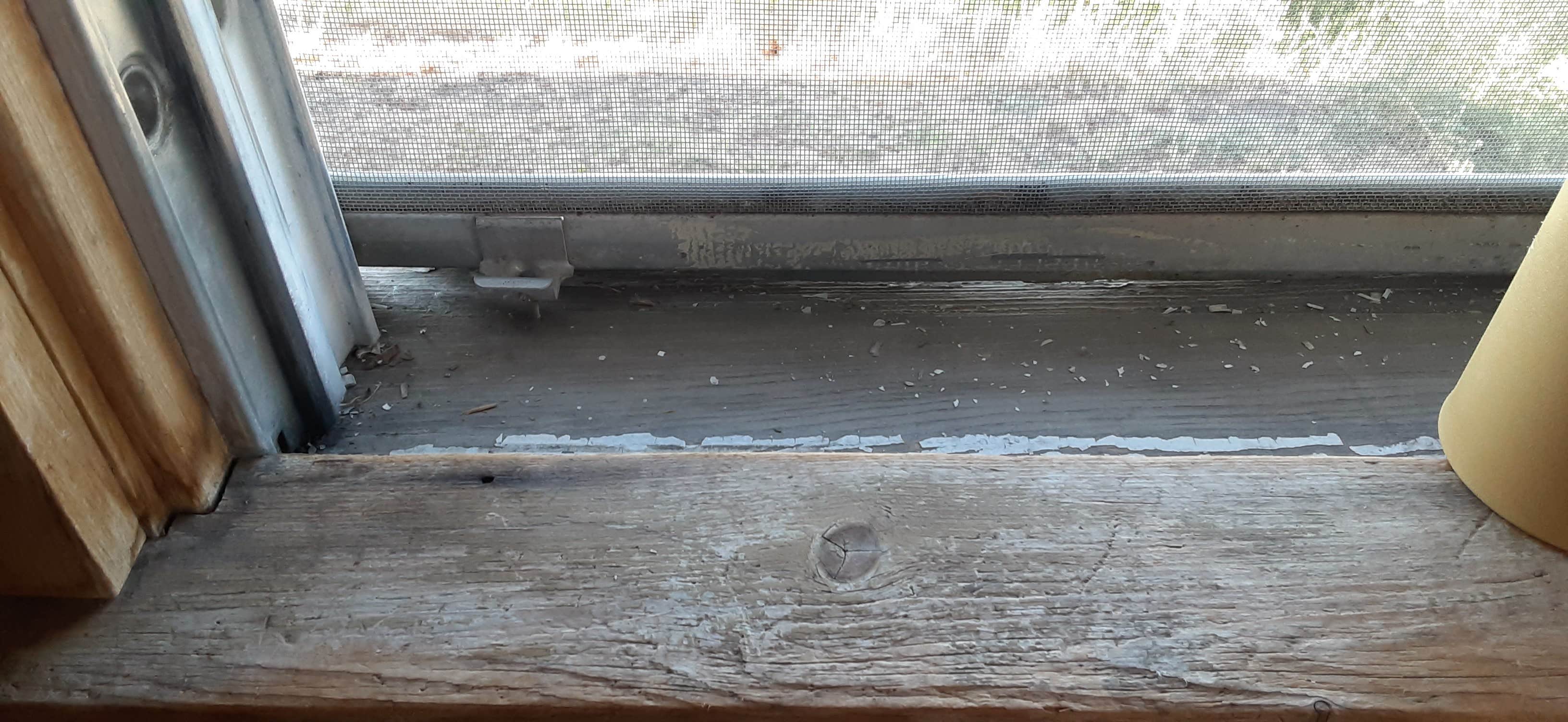 Camping near Beaver Lake Campground: Tiffany's Resort, Malo, Washington