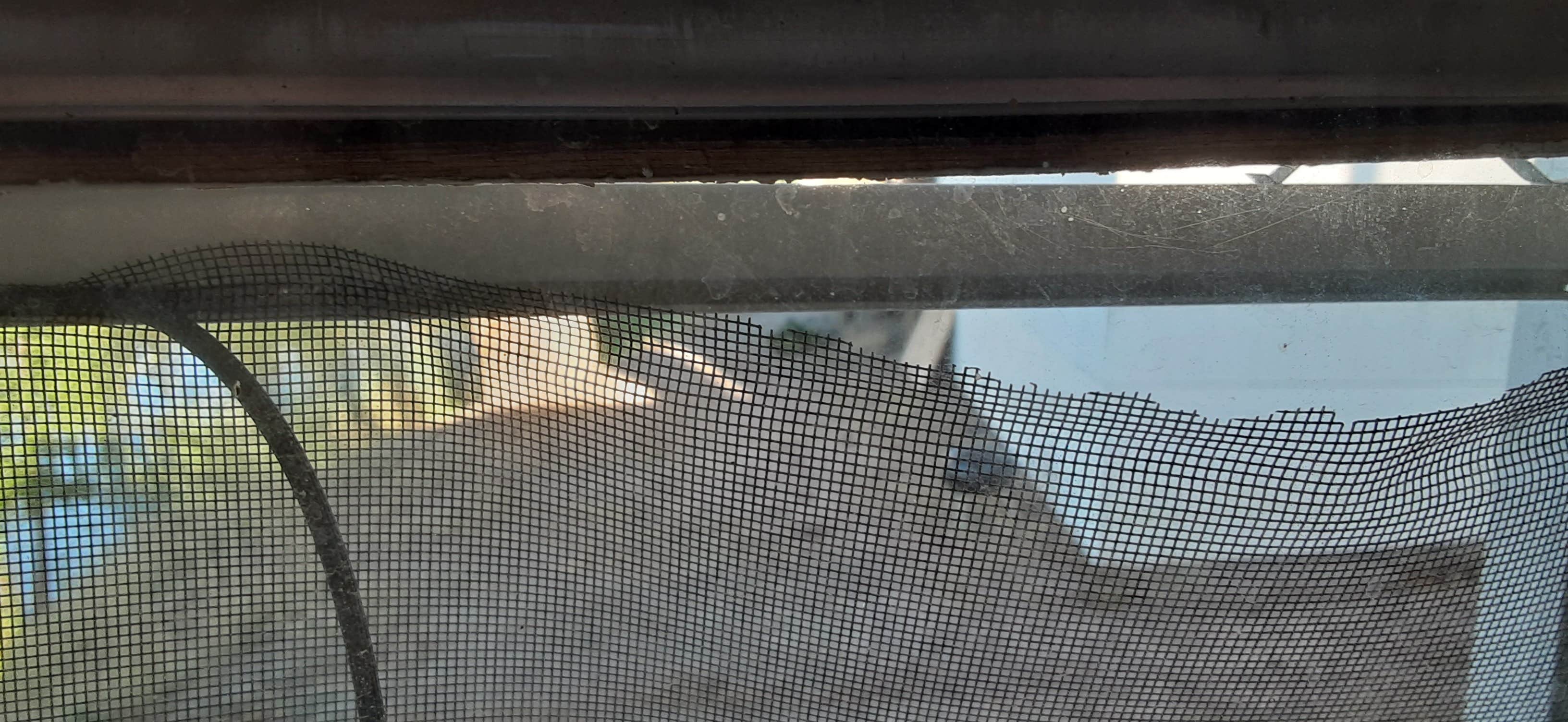 Camper-submitted photo at Tiffany's Resort near Orient, WA