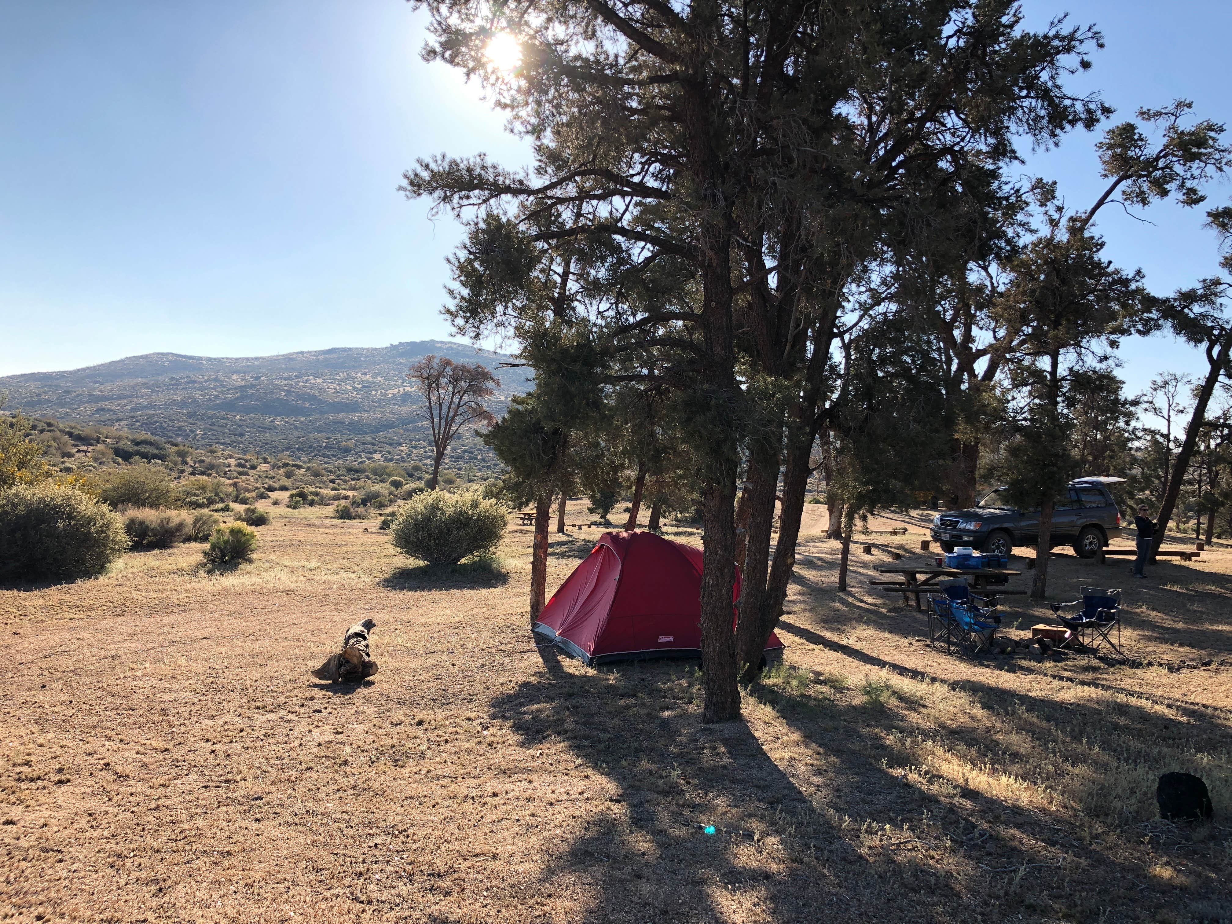 Jordan R.'s photo at Horse Springs Campground (San Bernardino National Forest) — Plumas National Forest near Mojave River Dam