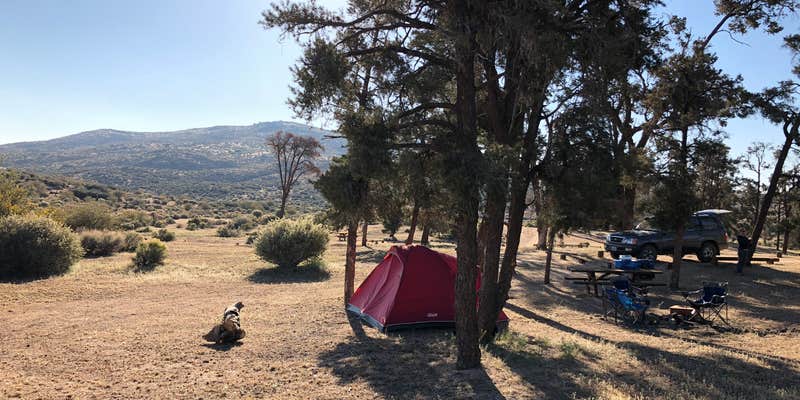 Camper submitted image from Horse Springs Campground — San Bernardino National Forest