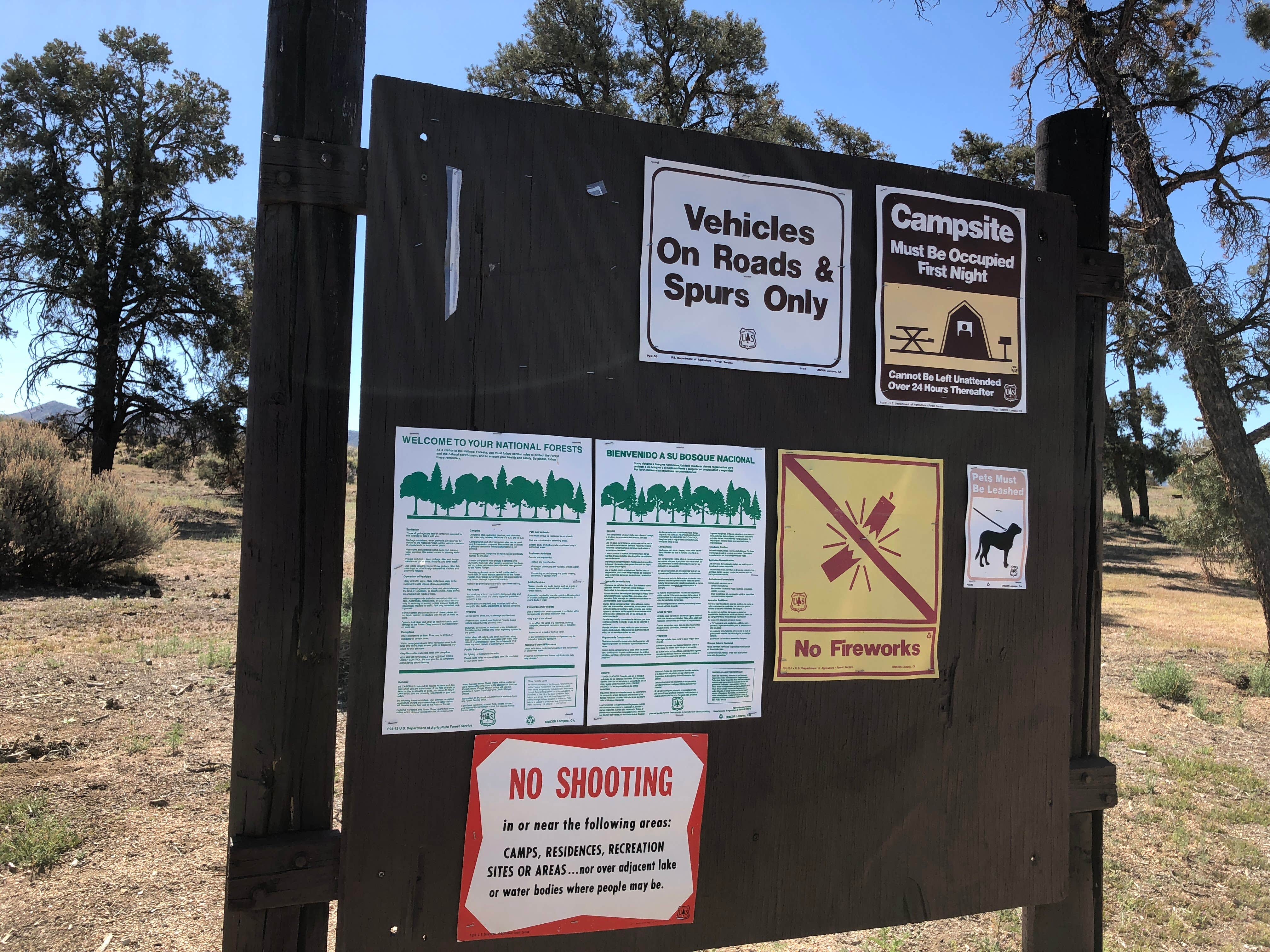 Camper submitted image from Horse Springs Campground (San Bernardino National Forest) — Plumas National Forest - 5