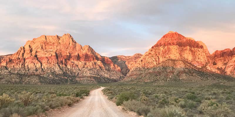 Camper submitted image from Red Rock Canyon National Conservation Area - Red Rock Campground