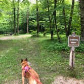 Review photo of Maplewood State Park Campground by Art S., June 22, 2018