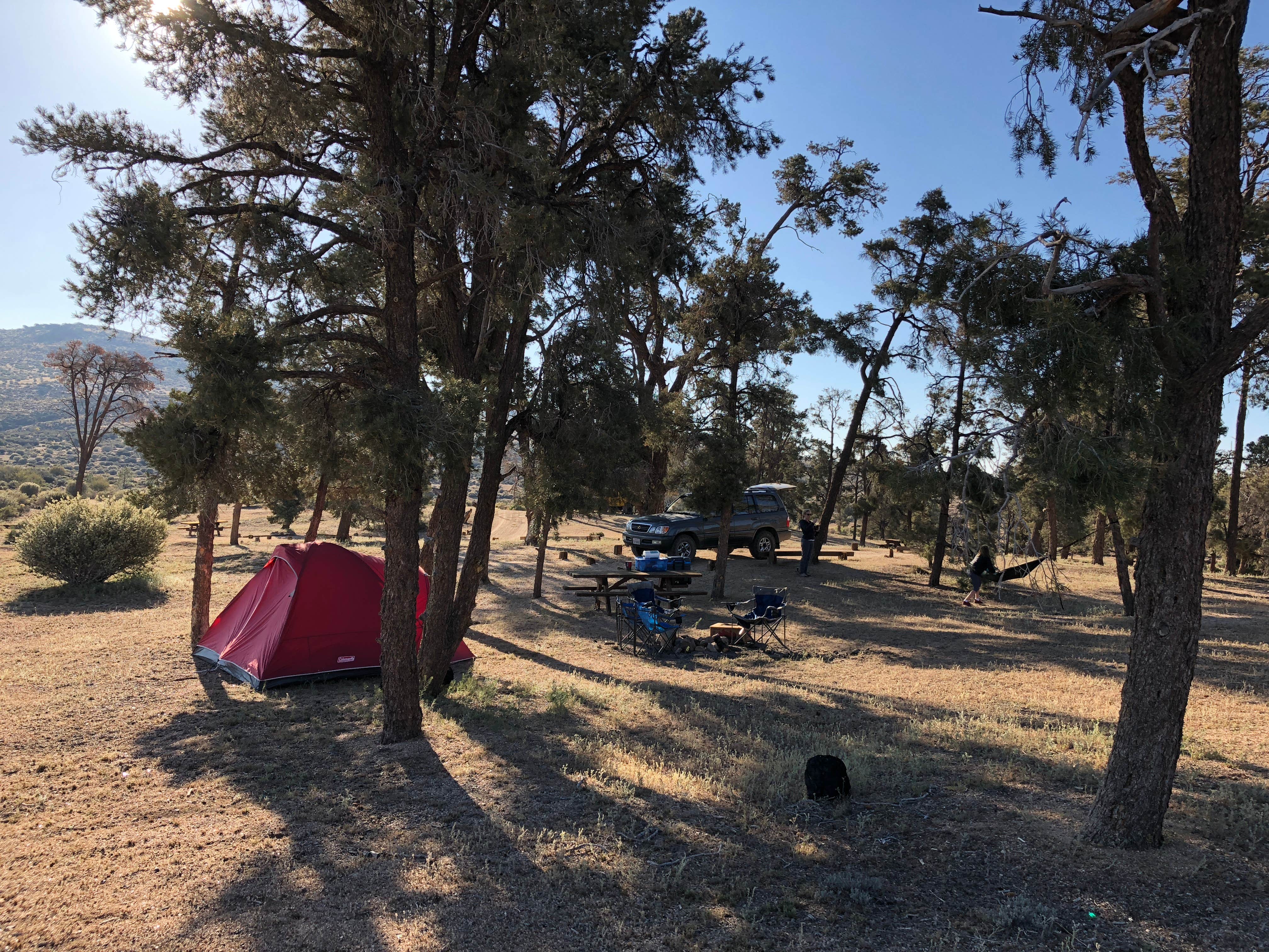 Jordan R.'s photo at Horse Springs Campground — San Bernardino National Forest near Apple Valley, CA