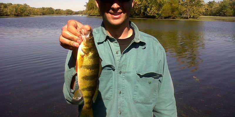 Camper submitted image from North Campground — Merrick State Park