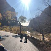 Review photo of South Campground — Zion National Park by Jordan R., September 1, 2021