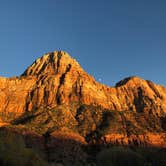 Review photo of South Campground — Zion National Park by Jordan R., September 1, 2021