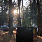 Review photo of Upper Pines Campground — Yosemite National Park by Jordan R., September 1, 2021