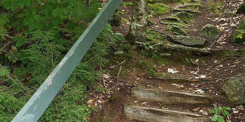 Camper submitted image from Little Jo-Mary Pond Campsites