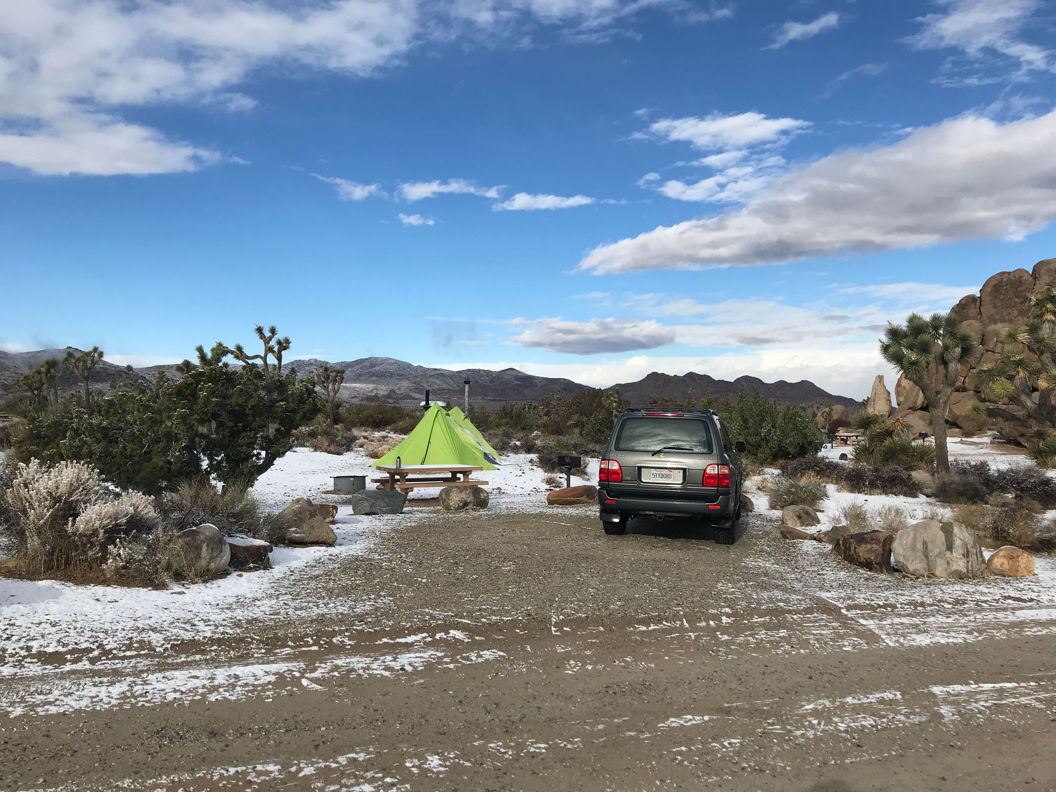 Jordan R.'s photo at Ryan Campground — Joshua Tree National Park near Joshua Tree National Park
