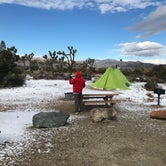 Review photo of Ryan Campground — Joshua Tree National Park by Jordan R., September 1, 2021