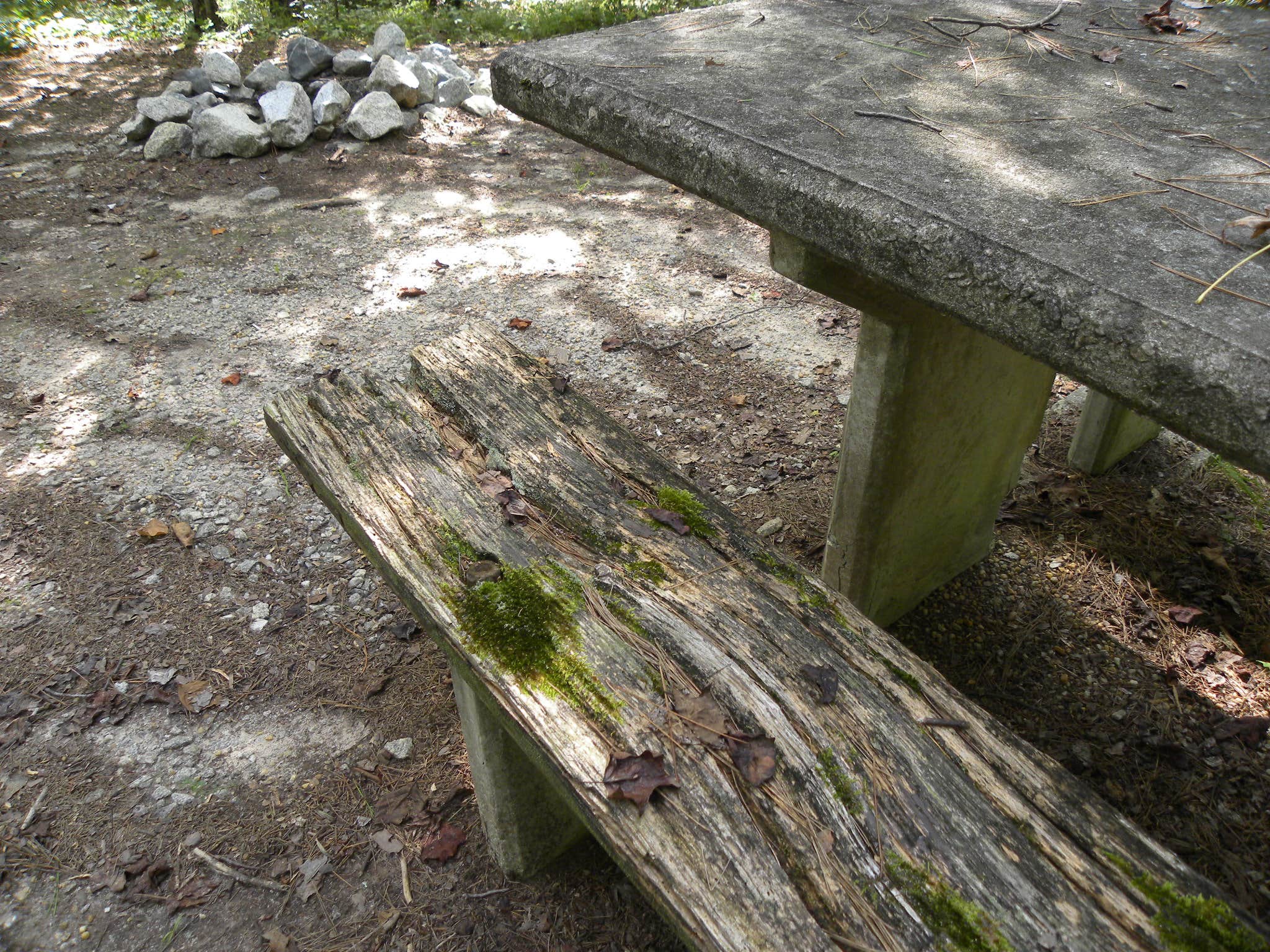 Camper submitted image from Woods Ferry Campground (Sc) — Francis Marion And Sumter National Forests - 2