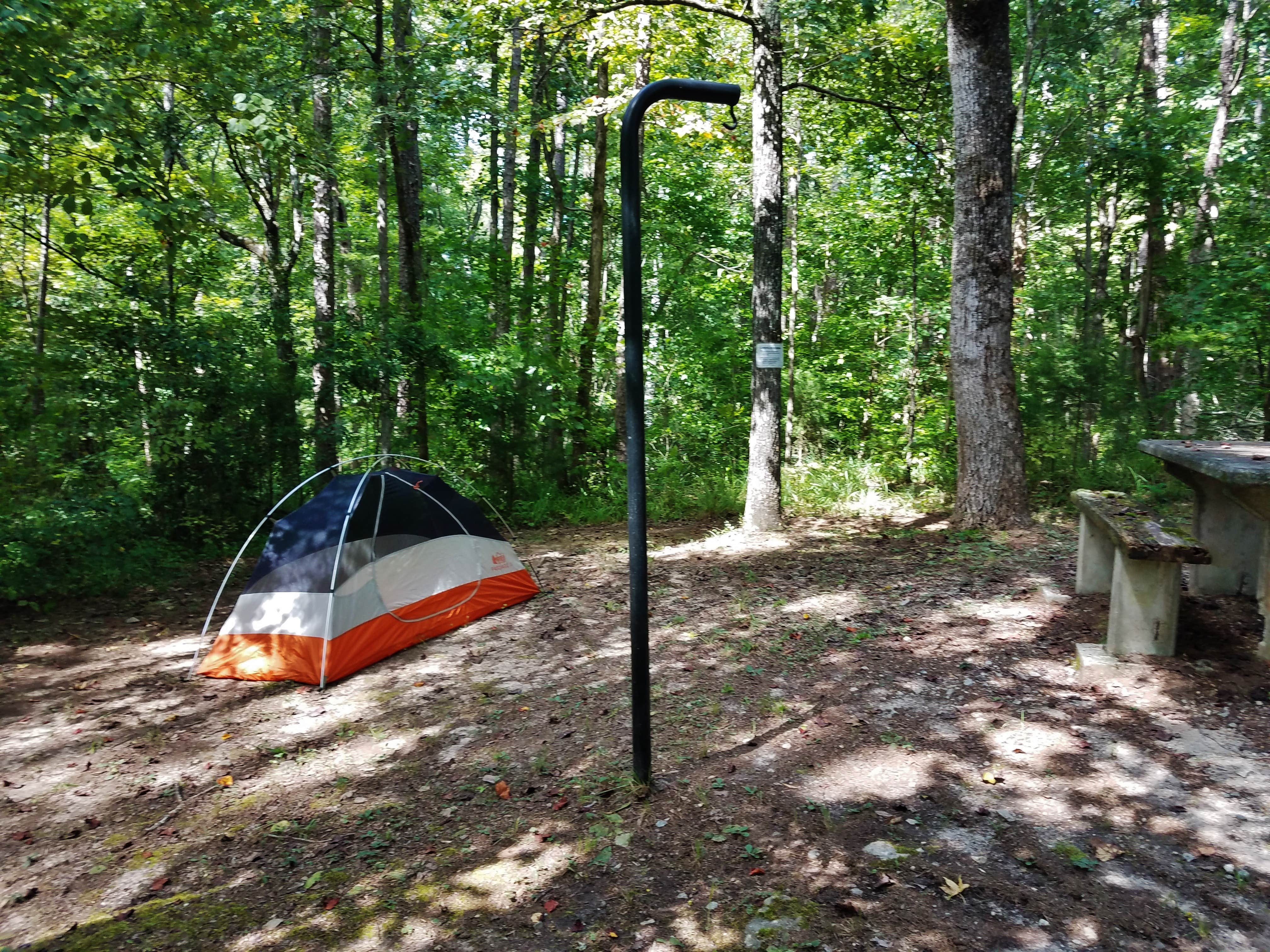Myron C.'s photo at Woods Ferry Campground (Sc) — Francis Marion And Sumter National Forests near White Stone, SC