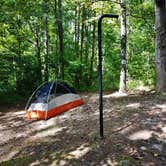 Review photo of Woods Ferry Campground (Sc) — Francis Marion And Sumter National Forests by Myron C., September 1, 2021