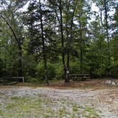 Review photo of Woods Ferry Campground (Sc) — Francis Marion And Sumter National Forests by Myron C., September 1, 2021