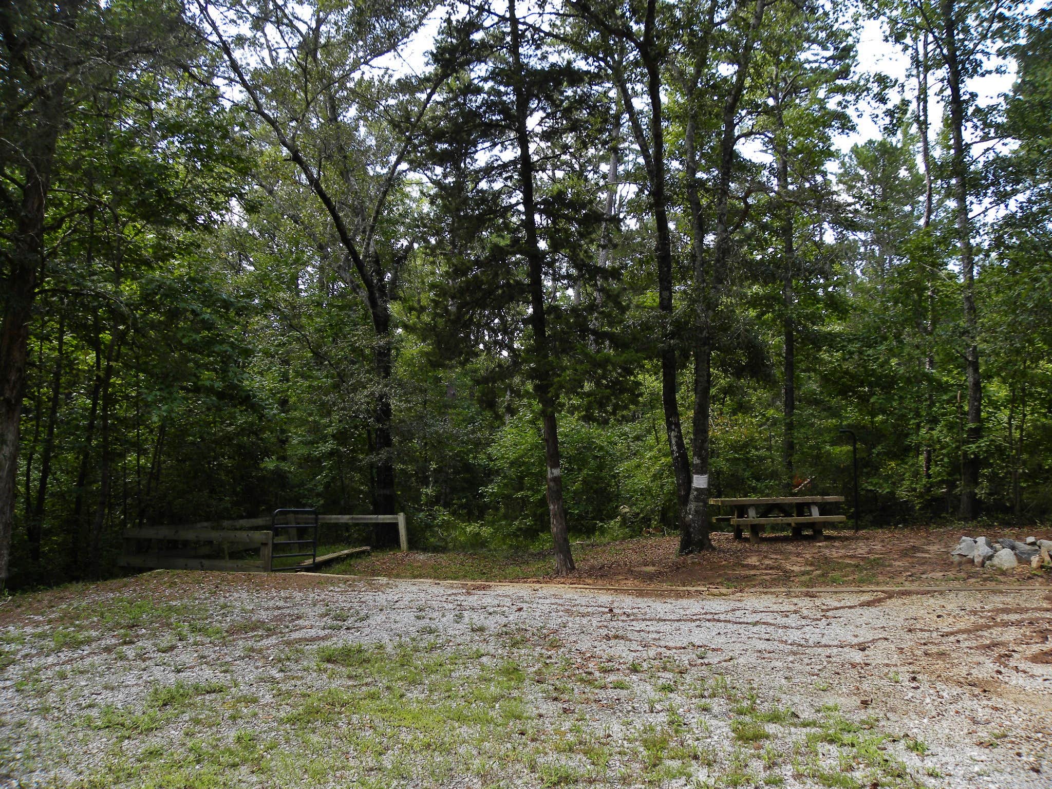 Camper submitted image from Woods Ferry Campground (Sc) — Francis Marion And Sumter National Forests - 3