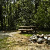 Review photo of Woods Ferry Campground (Sc) — Francis Marion And Sumter National Forests by Myron C., September 1, 2021