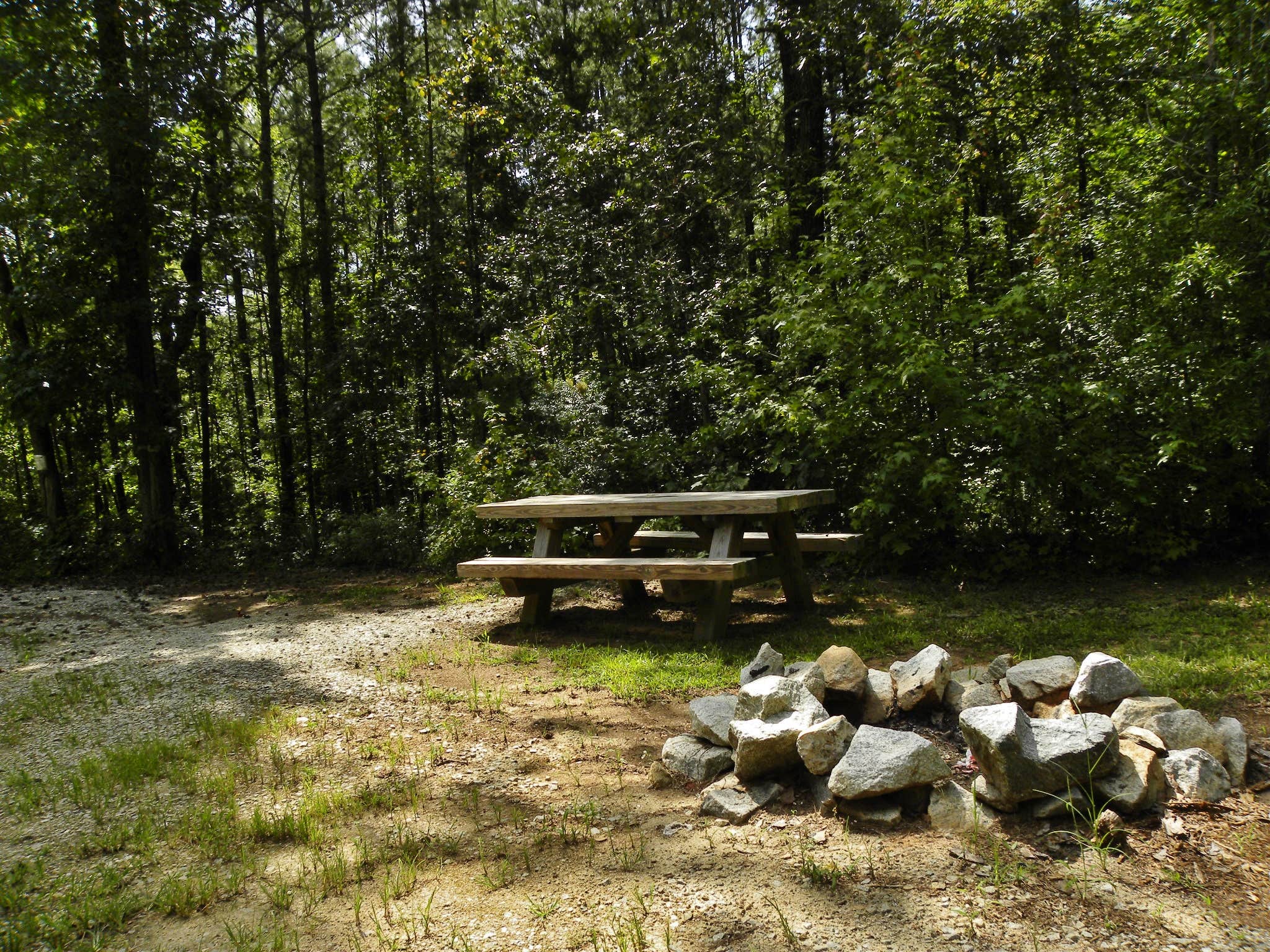 Camper submitted image from Woods Ferry Campground (Sc) — Francis Marion And Sumter National Forests - 2