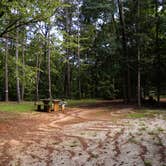 Review photo of Woods Ferry Campground (Sc) — Francis Marion And Sumter National Forests by Myron C., September 1, 2021