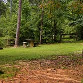 Review photo of Woods Ferry Campground (Sc) — Francis Marion And Sumter National Forests by Myron C., September 1, 2021