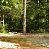 Review photo of Woods Ferry Campground (Sc) — Francis Marion And Sumter National Forests by Myron C., September 1, 2021