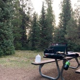 Review photo of Lizard Creek Campground — Grand Teton National Park by Todd S., September 1, 2021