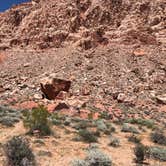 Review photo of Red Rock Canyon National Conservation Area - Red Rock Campground by Jordan R., September 1, 2021