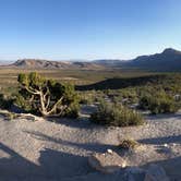 Review photo of Red Rock Canyon National Conservation Area - Red Rock Campground by Jordan R., September 1, 2021