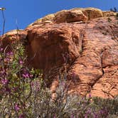 Review photo of Red Rock Canyon National Conservation Area - Red Rock Campground by Jordan R., September 1, 2021