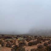 Review photo of Red Rock Canyon National Conservation Area - Red Rock Campground by Jordan R., September 1, 2021