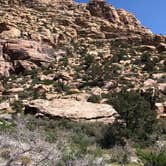 Review photo of Red Rock Canyon National Conservation Area - Red Rock Campground by Jordan R., September 1, 2021