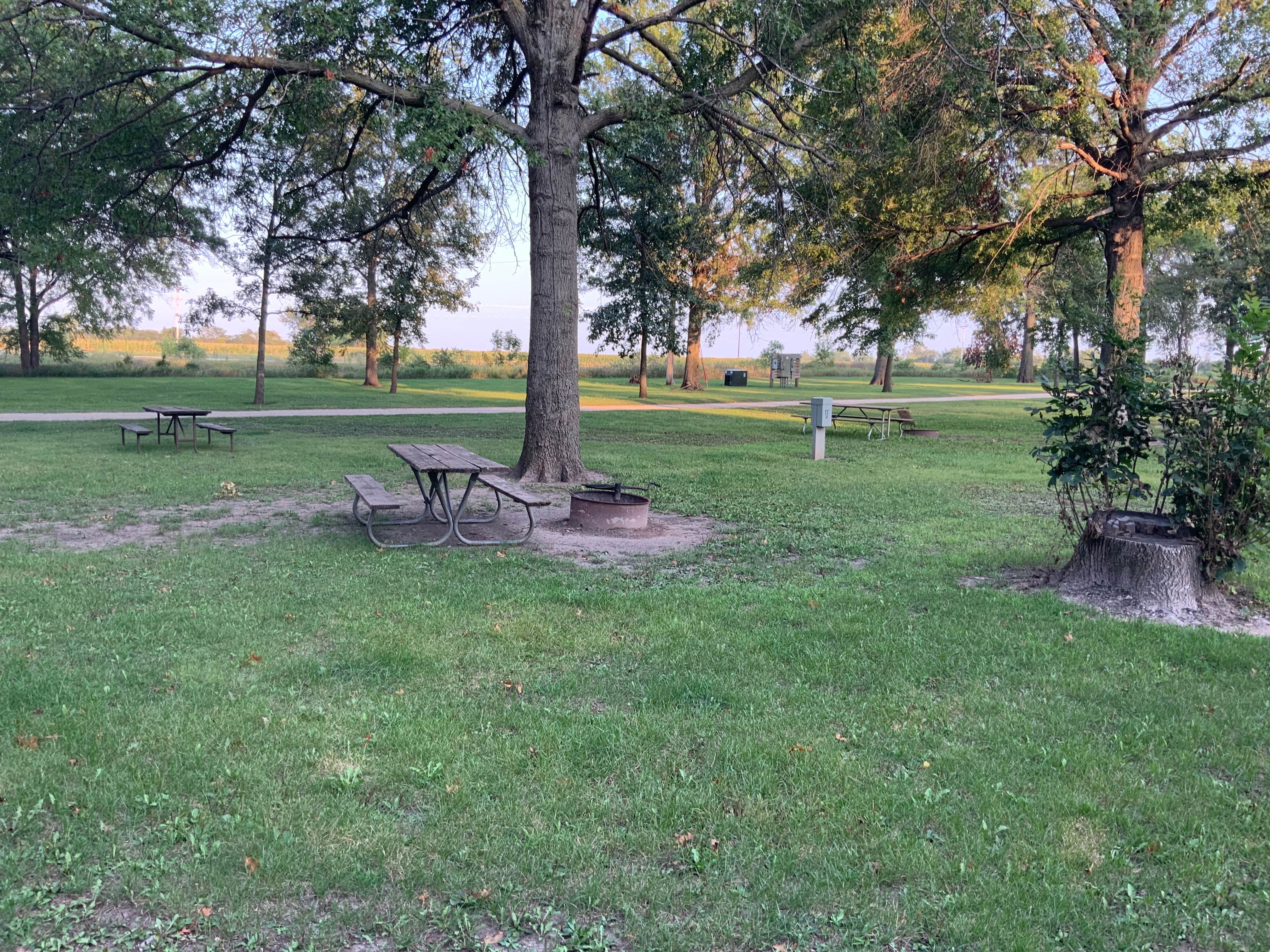 Camper-submitted photo at Timmons Grove County Park near Marshalltown, IA