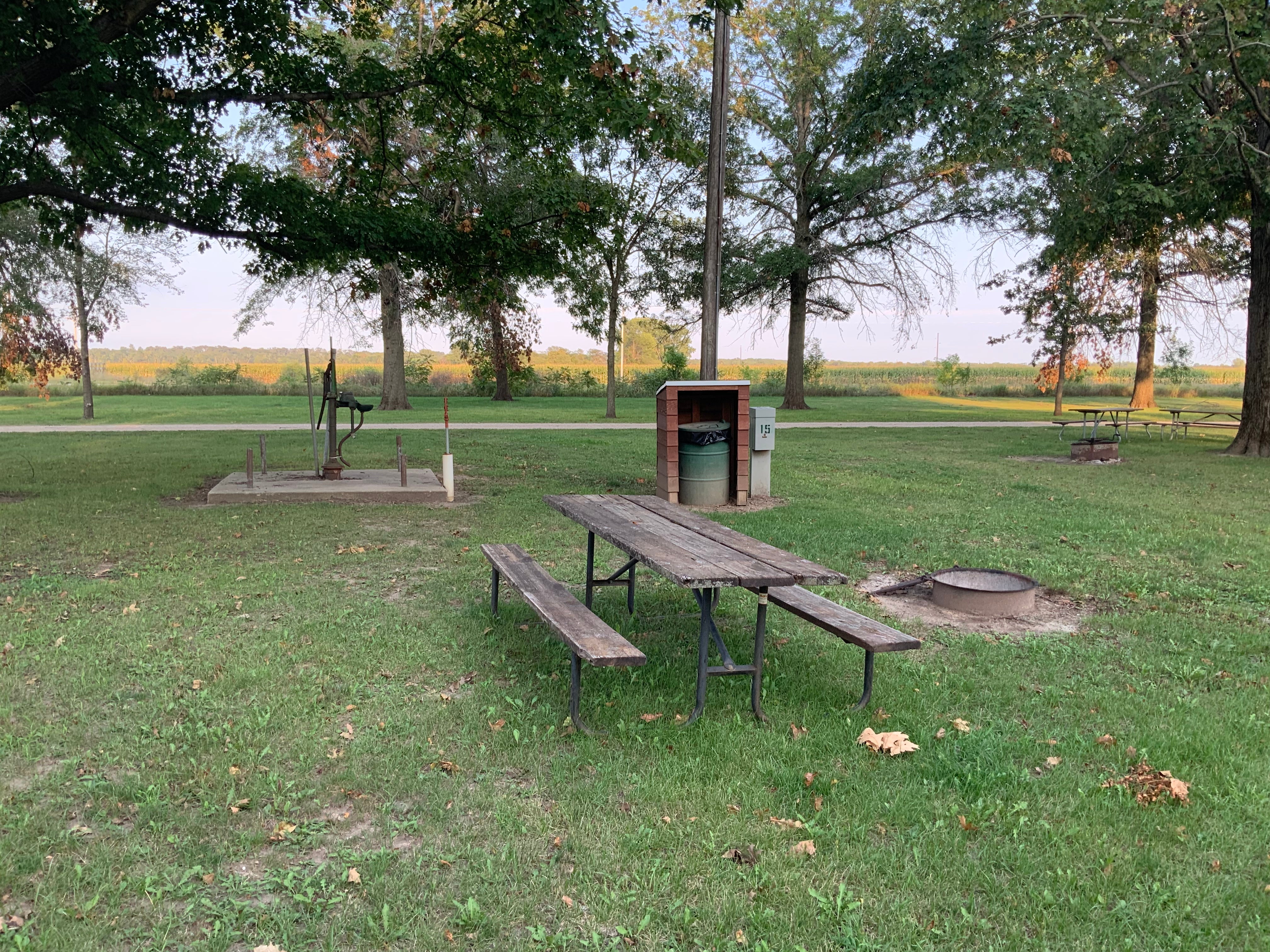 Camper submitted image from Timmons Grove County Park - 2