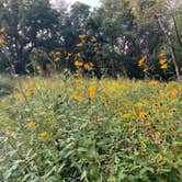 Review photo of Timmons Grove County Park by Kerry M., September 1, 2021