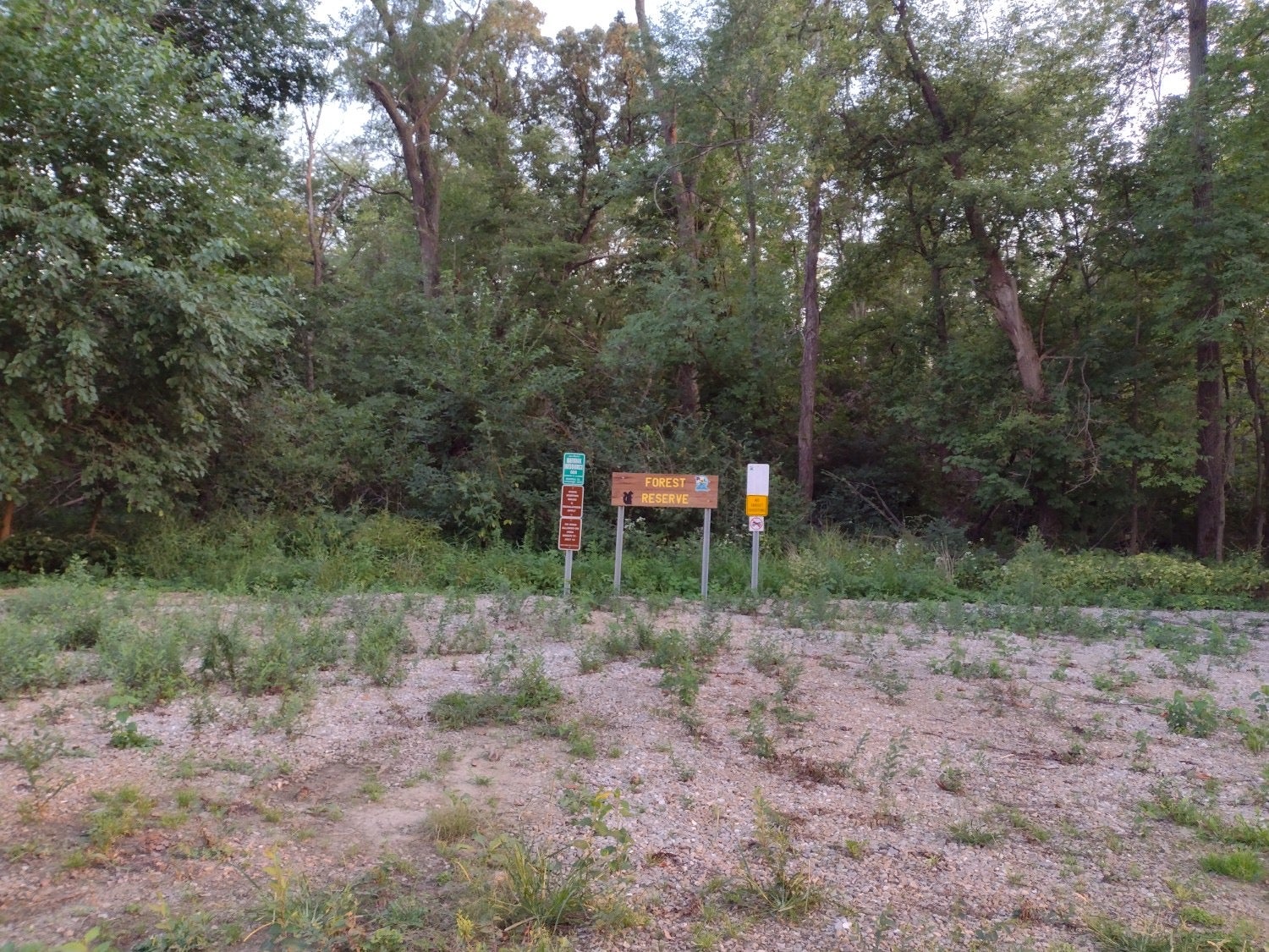 Camper submitted image from Forest Reserve - Marshalltown - 4