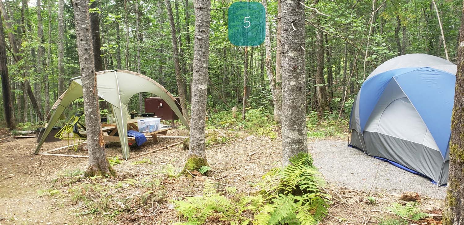 Camper submitted image from Lunksoos Campground — Katahdin Woods And Waters National Monument - 1