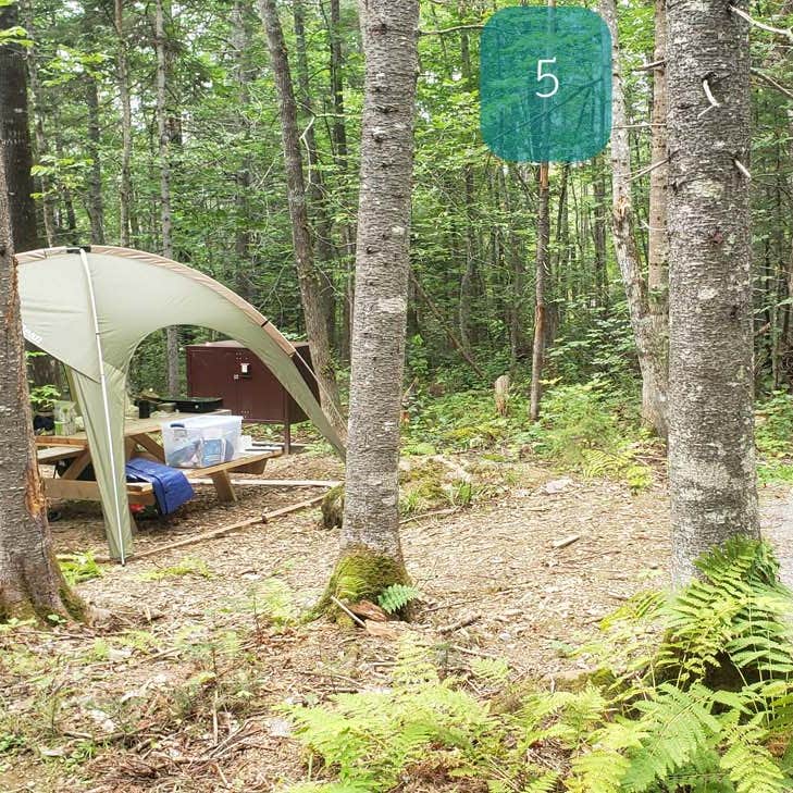 Lunksoos Campground — Katahdin Woods And Waters National Monument