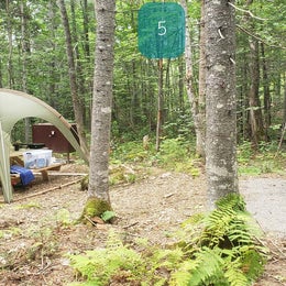 Lunksoos Campground — Katahdin Woods And Waters National Monument
