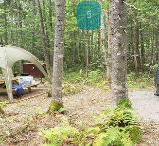 Camper-submitted photo from Lunksoos Campground — Katahdin Woods And Waters National Monument