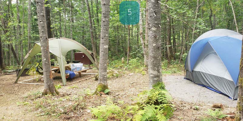 Camper submitted image from Lunksoos Campground — Katahdin Woods And Waters National Monument