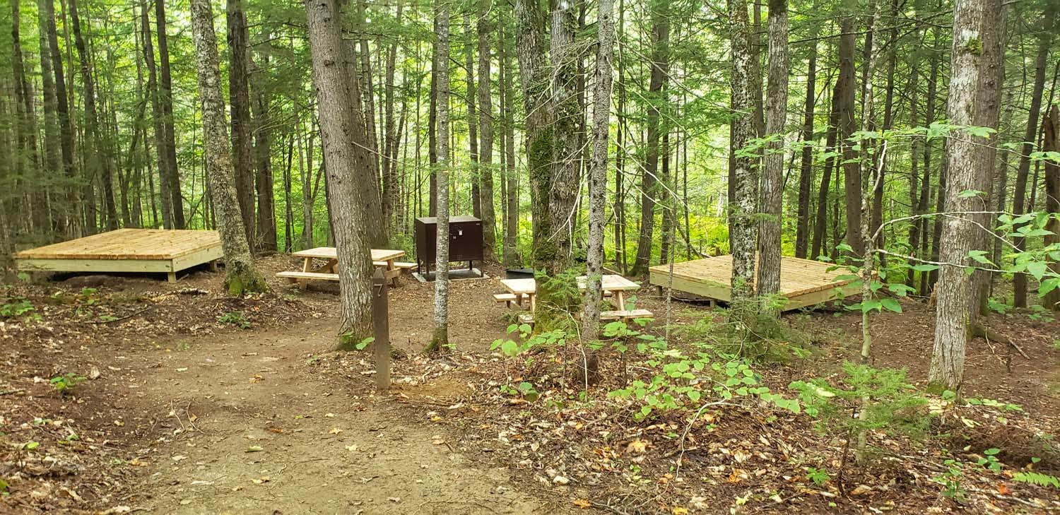 Camper submitted image from Lunksoos Campground — Katahdin Woods And Waters National Monument - 5