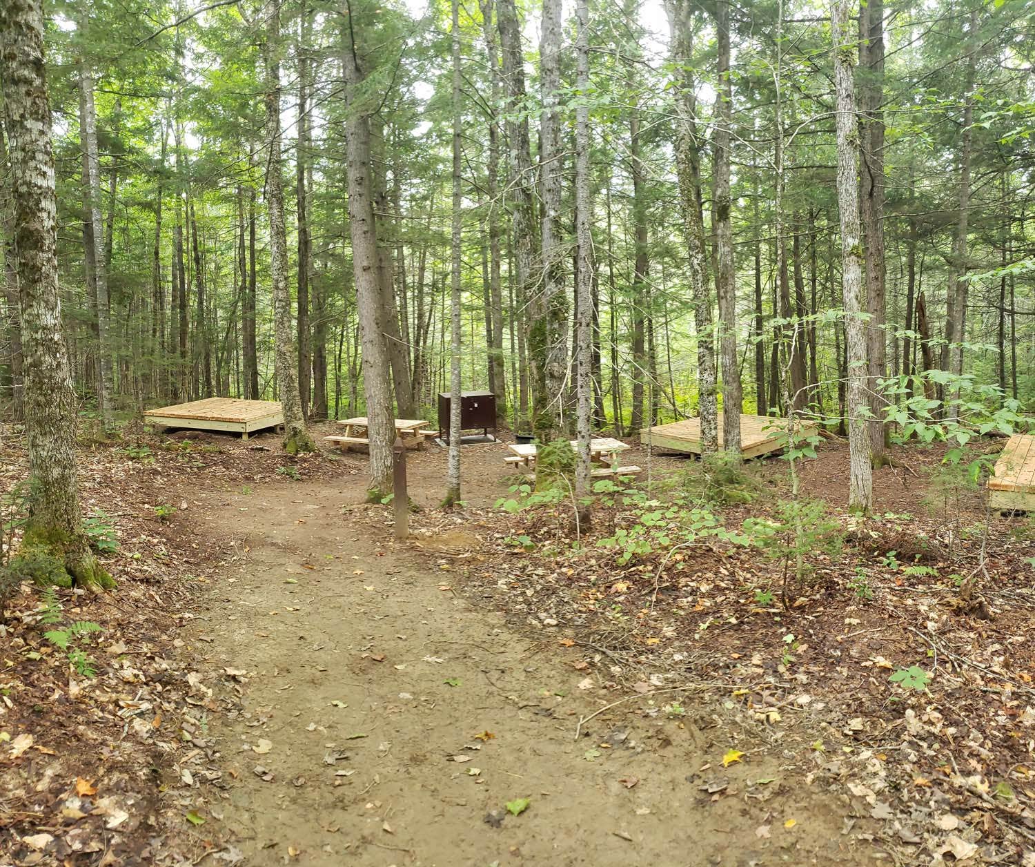 Camper submitted image from Lunksoos Campground — Katahdin Woods And Waters National Monument - 3