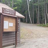 Review photo of Lunksoos Campground — Katahdin Woods And Waters National Monument by Jean C., September 1, 2021