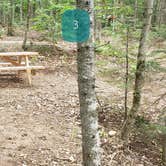 Review photo of Lunksoos Campground — Katahdin Woods And Waters National Monument by Jean C., September 1, 2021